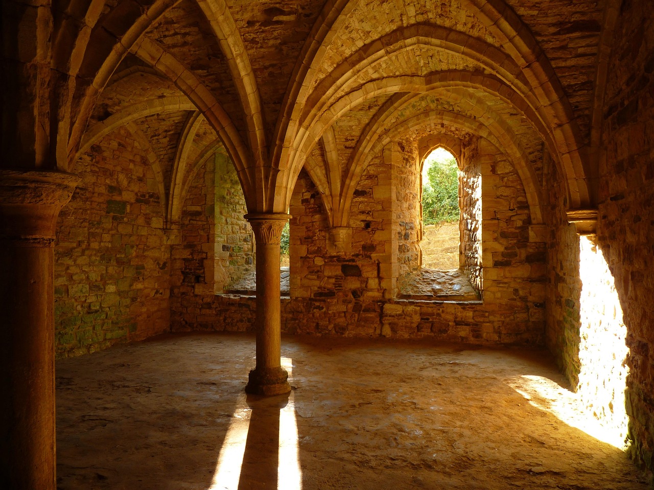 battle abbey, monastery, vault, basement, cellar, pillar, evening sun, battle abbey, battle abbey, battle abbey, monastery, monastery, monastery, vault, cellar, pillar, pillar, pillar, pillar, pillar