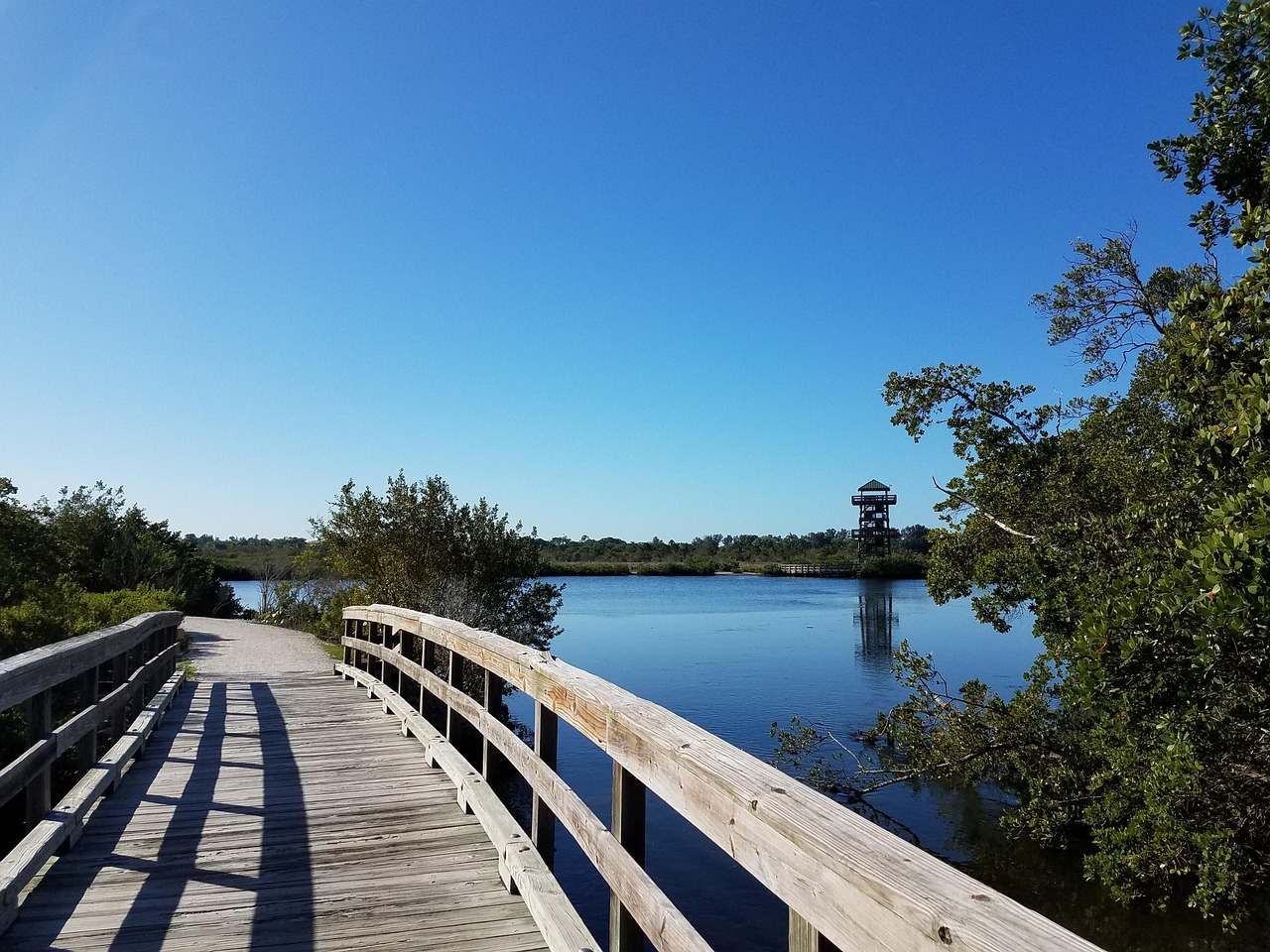 preserve, water, nature