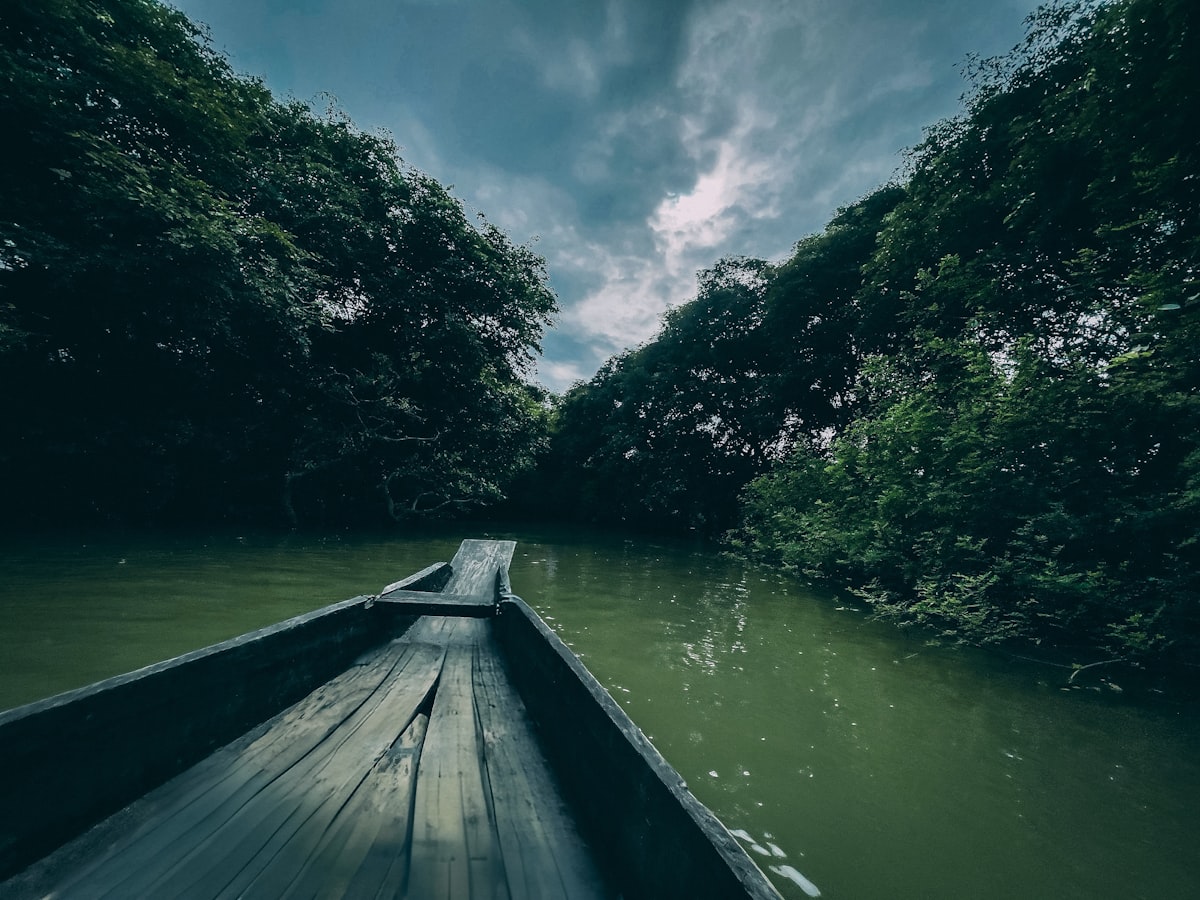 A boat traveling down a river next to lush green trees