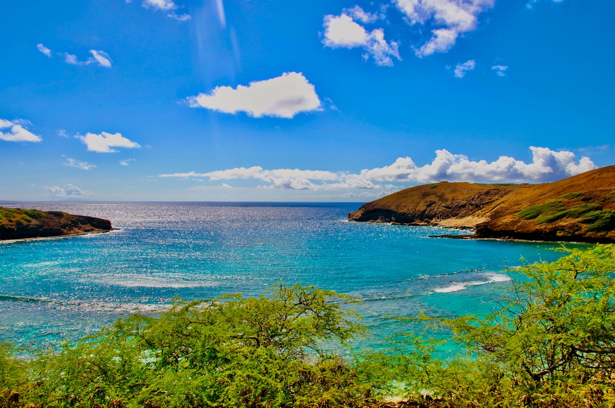 a body of water with land in the back