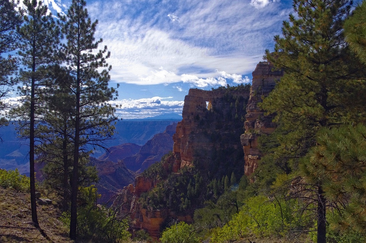 angels window on north rim, arch, window, grand, canyon, national, park, arizona, landscape, sky, scenic, scenery, stone, clouds, dramatic, forest, highlands, mountain, rock, nature, arizona, arizona, arizona, arizona, arizona
