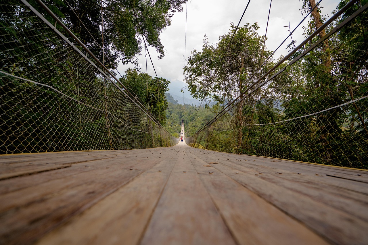 bridge, foot bridge, nature, hanging bridge, forest, woods, suspension bridge