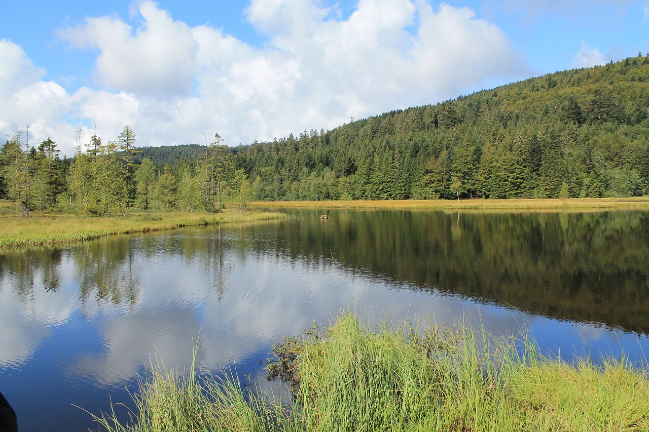 lake, heaven, reflection, clouds, nature, landscape, water, quiet, mountain, blue, calm, peaceful, trees, hill, waters, beautiful, relax, enjoy, summer, outlook, france, lorraine, vosges, alsace, foresight, to travel, expanse