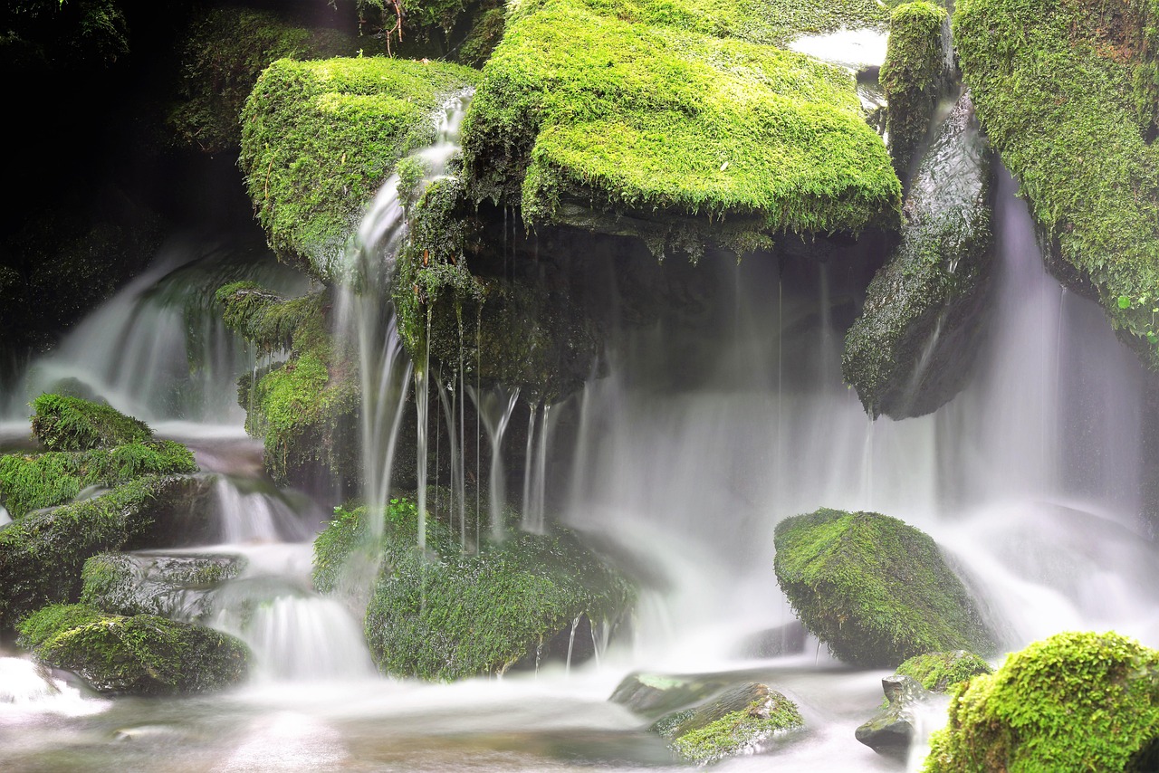 moss, waterfall, nature, waterfall, waterfall, waterfall, waterfall, waterfall