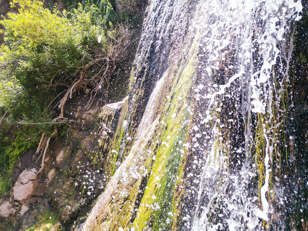 a man standing on top of a waterfall next to a lush green forest