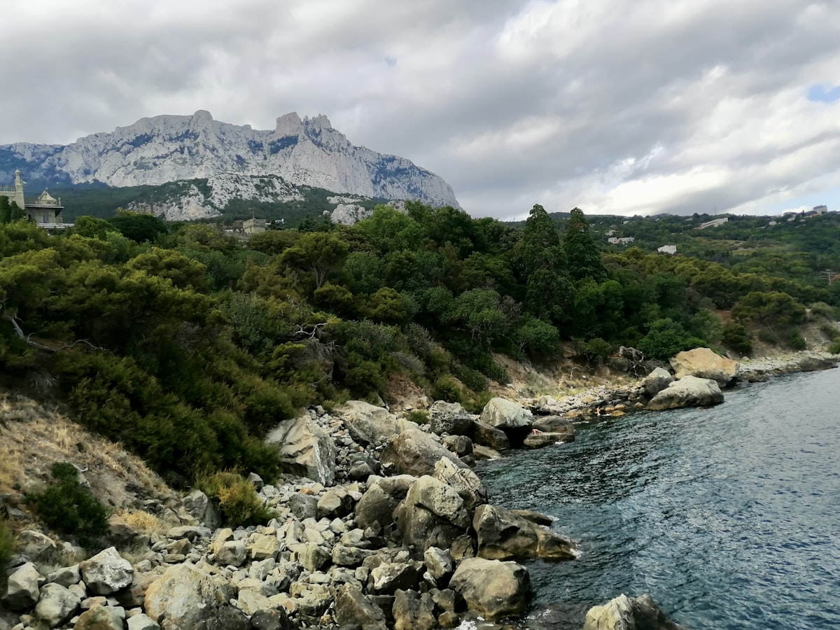 a body of water surrounded by rocks and trees