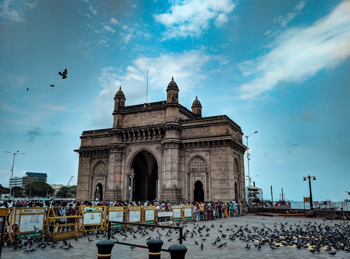 flock of birds on gray pavement near brown arch