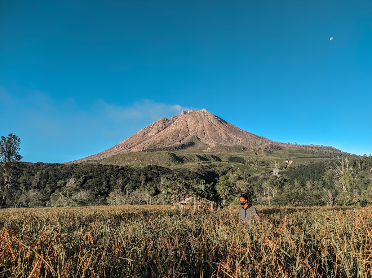 a person standing in a field with a mountain in the background