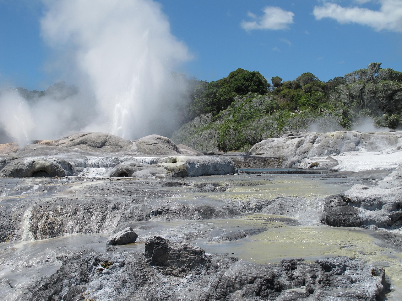 geothermal, fountain, new zealand, geothermal, geothermal, new zealand, new zealand, new zealand, new zealand, new zealand