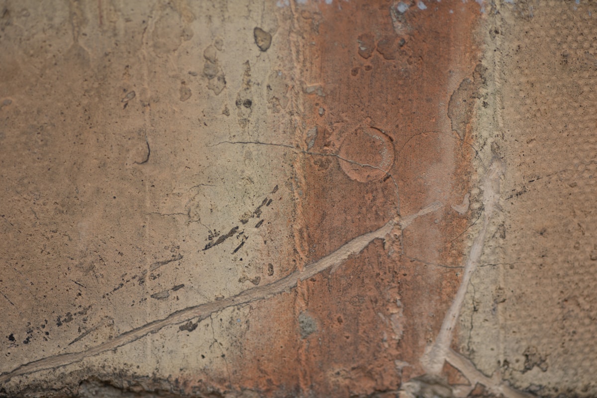 a close up of a wall with a bird on it