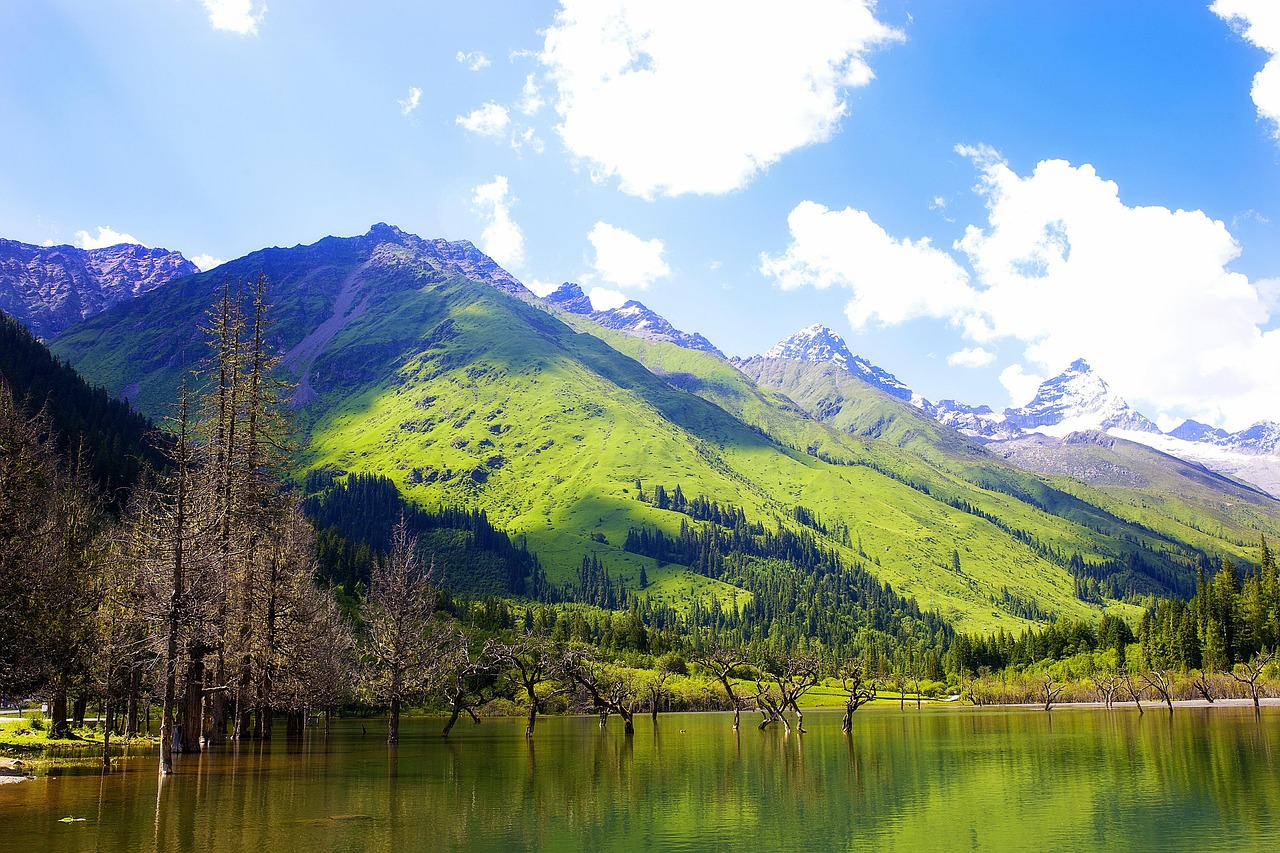 landscape, mountain peak, cloud, mount siguniang, green space