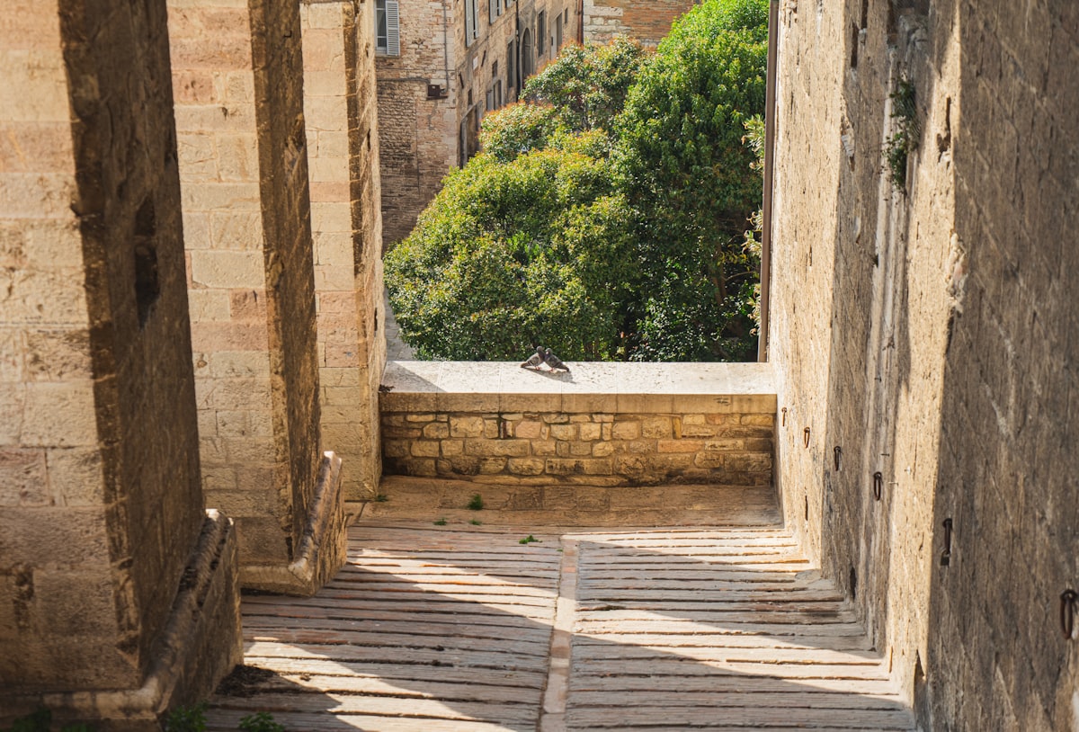 Stone arches frame a sunlit path with a view.