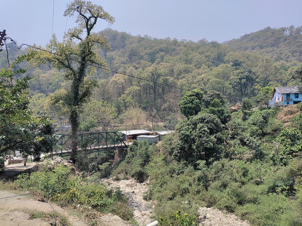 a bridge over a river in a forested area