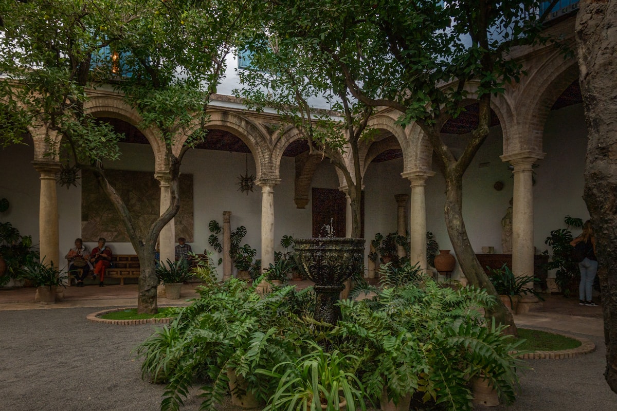 a courtyard with a fountain surrounded by trees