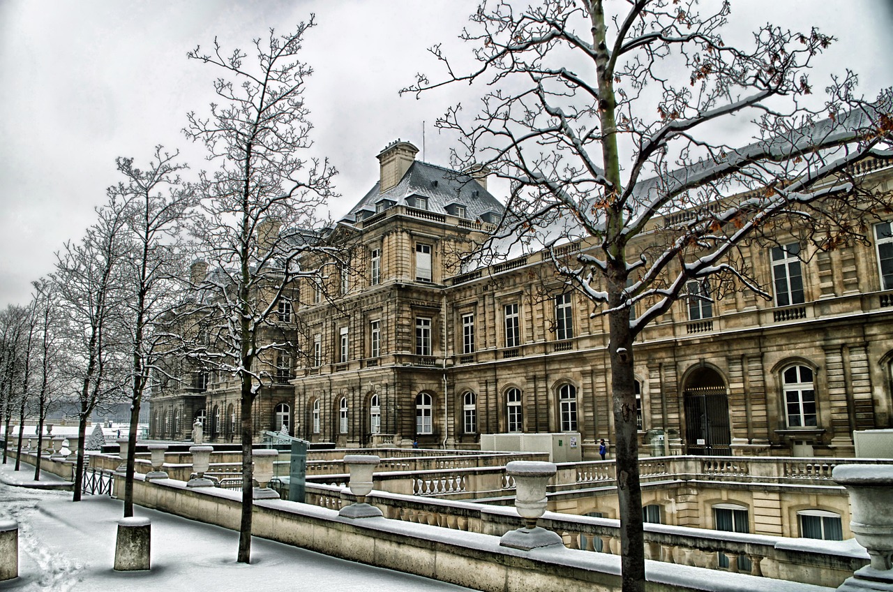 paris, nature, france, palais du luxembourgh, building, landmark, historic, architecture, hdr, trees, winter, snow, city, cities, urban, outside