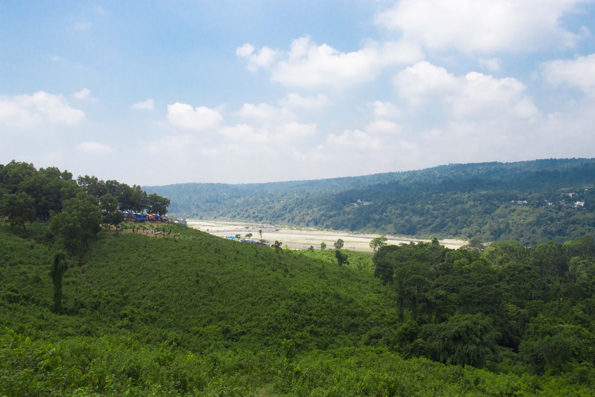 a lush green hillside with a beach in the distance