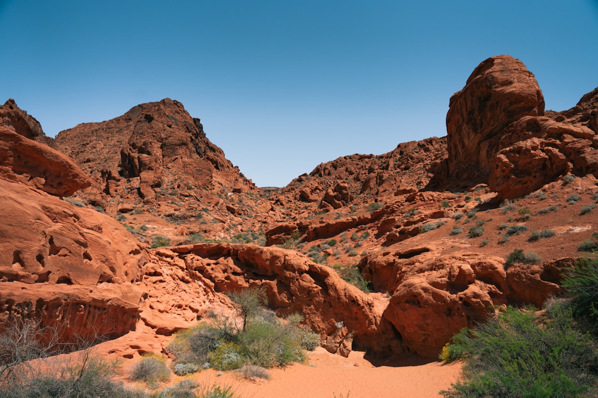 A desert landscape with rocks and plants in the foreground