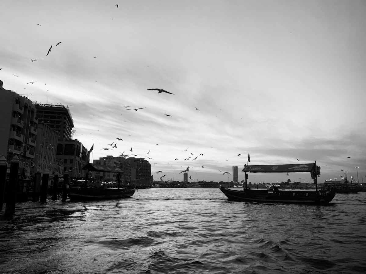 Two boats on a river with birds flying