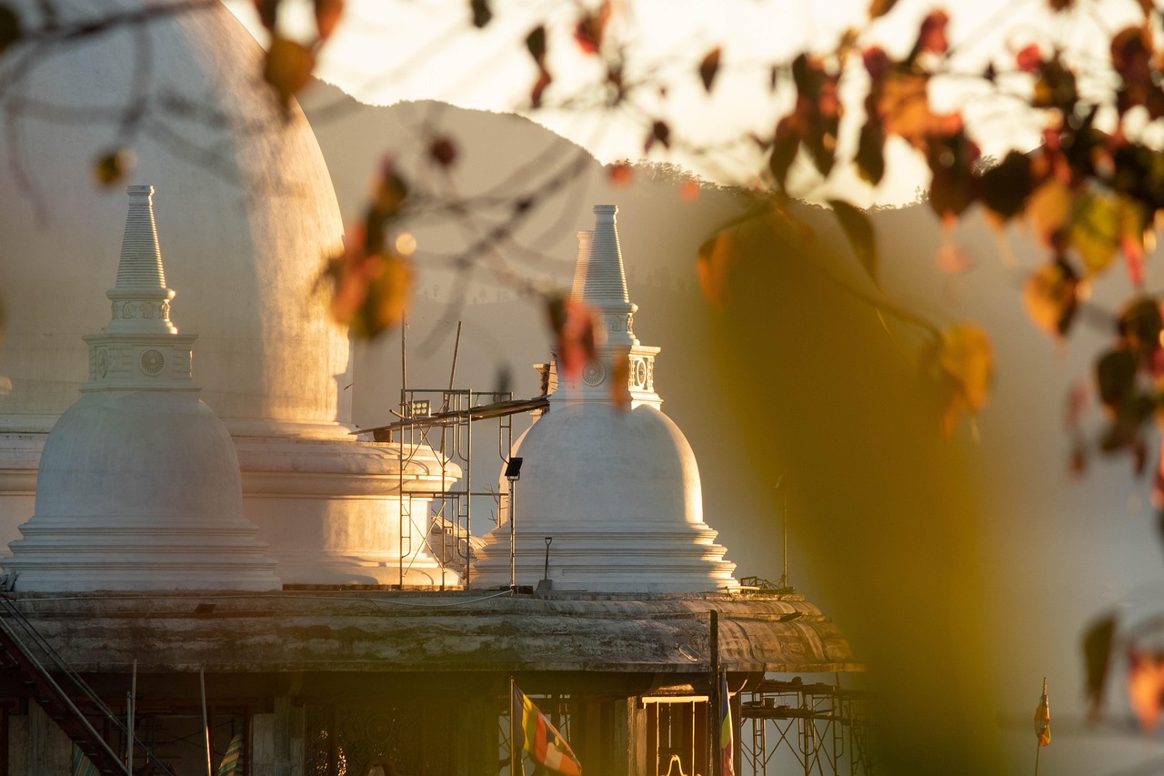 stupa, temple, pagoda, wat, buddhism, shrine, nature, buddhist temple, building, sunrise, bo leaves, bodhi, foliage