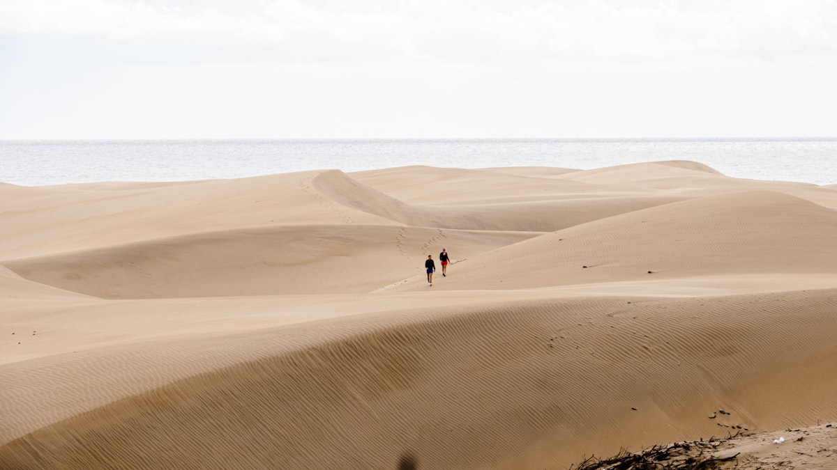 a couple of people that are standing in the sand