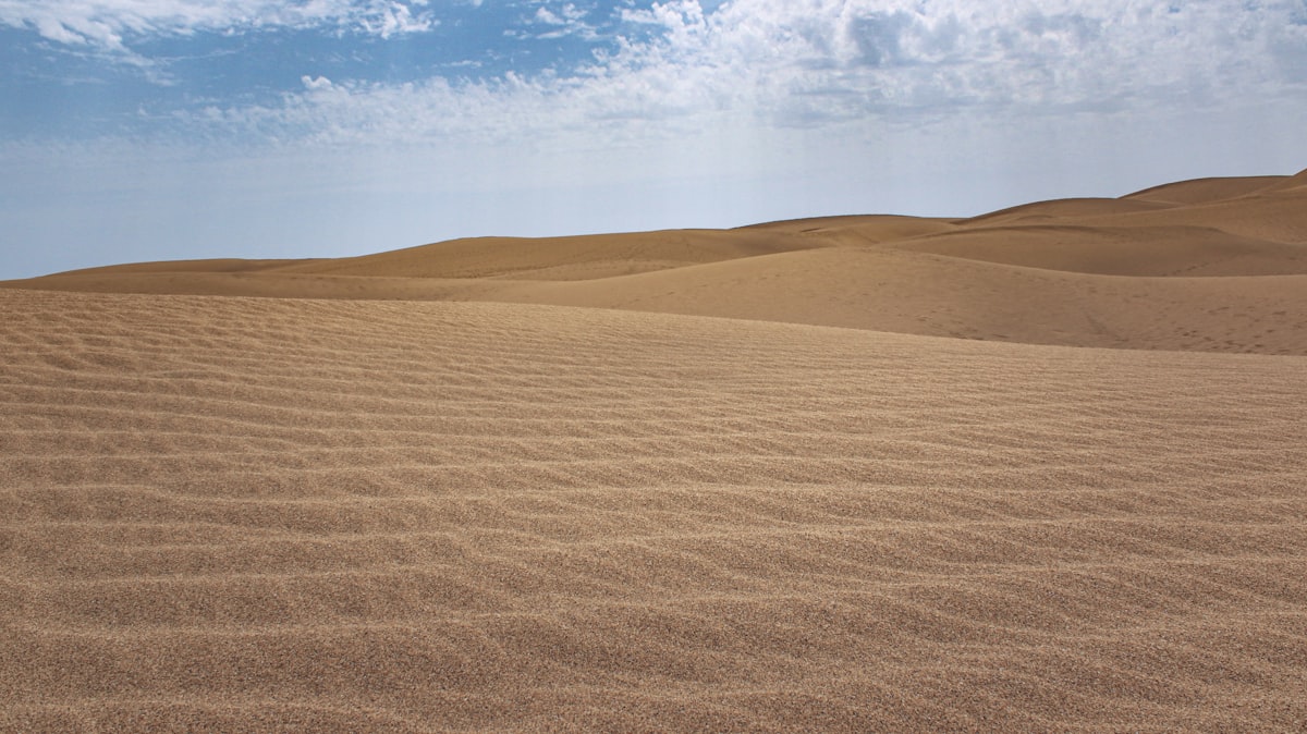 a sandy area with a blue sky in the background