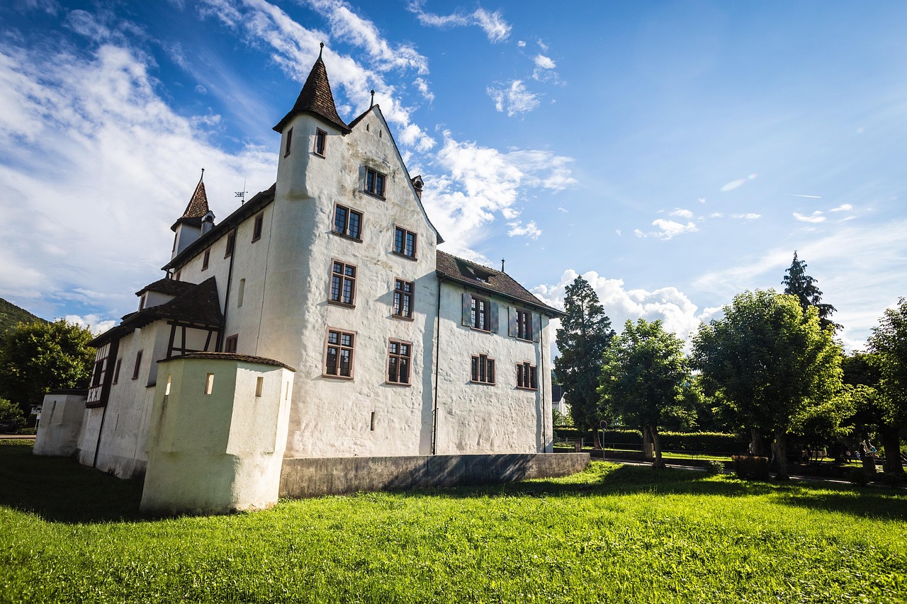 pratteln, schloss, castle, basel-land, architecture, old, outdoors, hometown, building, historically