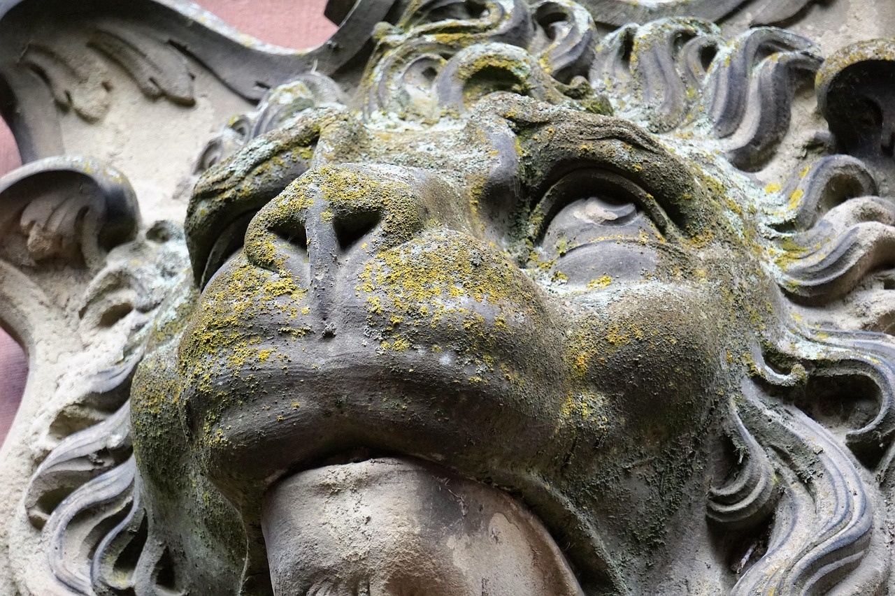 lion, lion head, ornament, facade, castle, nature, heidelberg, old, sculpture, statue, architecture, building, sightseeing, heidelberger schloss, city trip