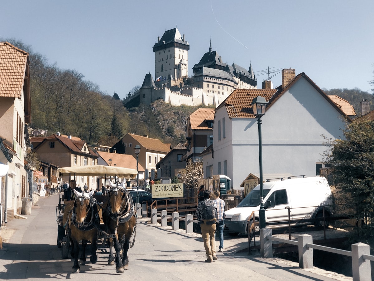 two men walking beside carriage