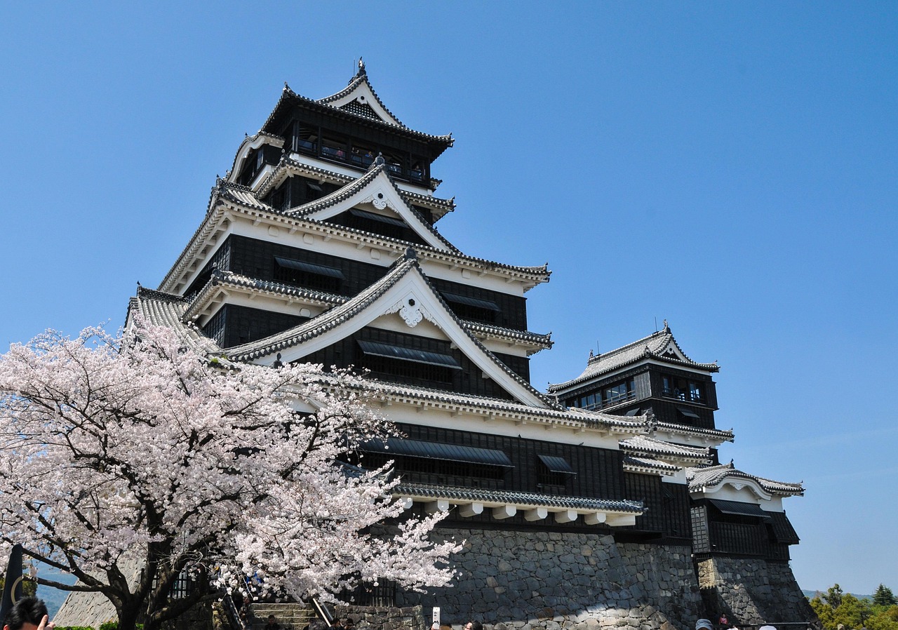 cherry blossoms, spring in japan, cherry tree, cherry blossom, japan flower, pink, castle, kumamoto castle, cherry blossoms, kumamoto castle, kumamoto castle, kumamoto castle, kumamoto castle, kumamoto castle
