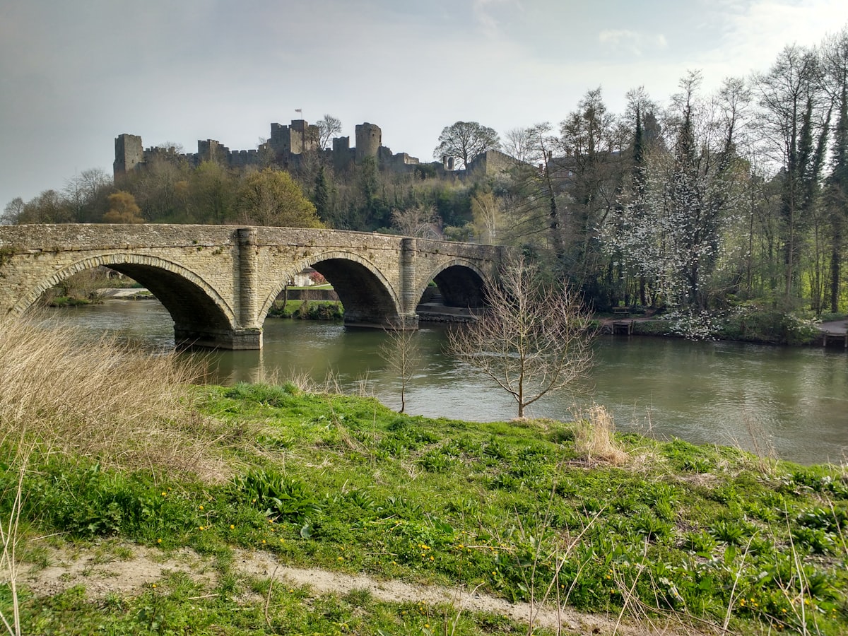 A bridge over a river with a castle in the background