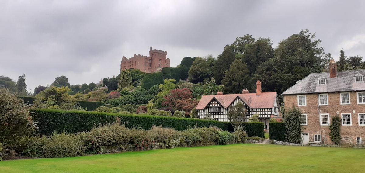 a house with a large garden in front of it