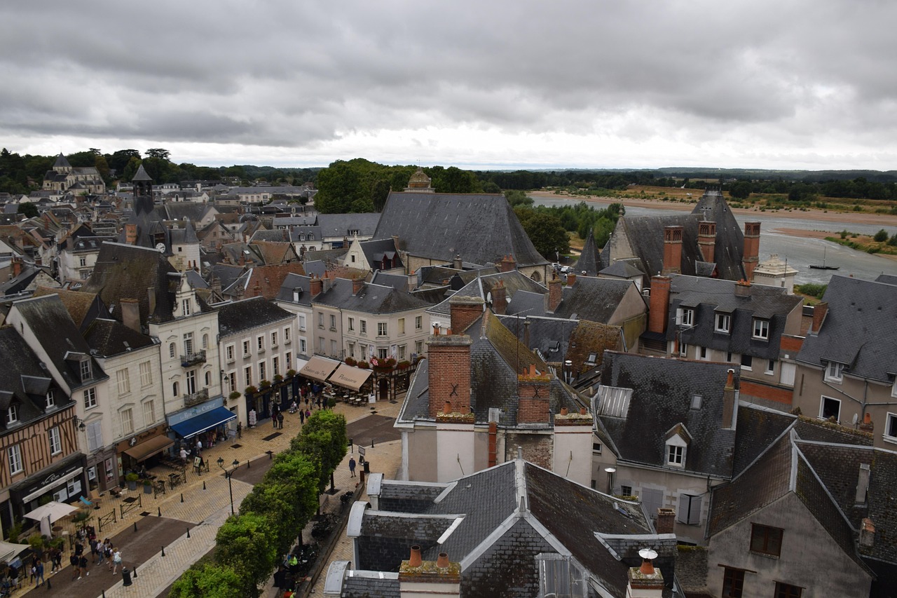 loire, amboise, royal d'amboise château, small town, frankreich, french, france, old, history, architecture, city, river, amboise, small town, small town, small town, small town, small town