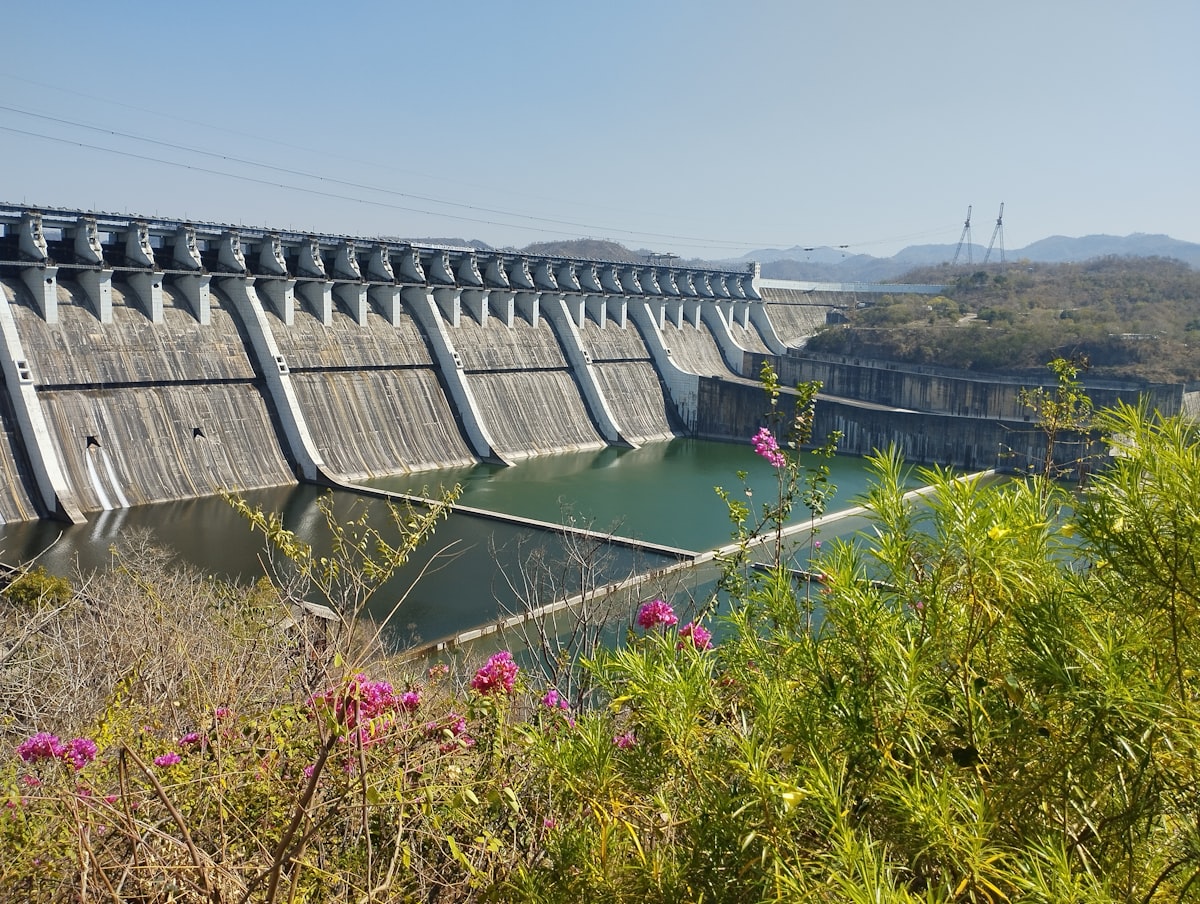 a view of a large dam with flowers in the foreground