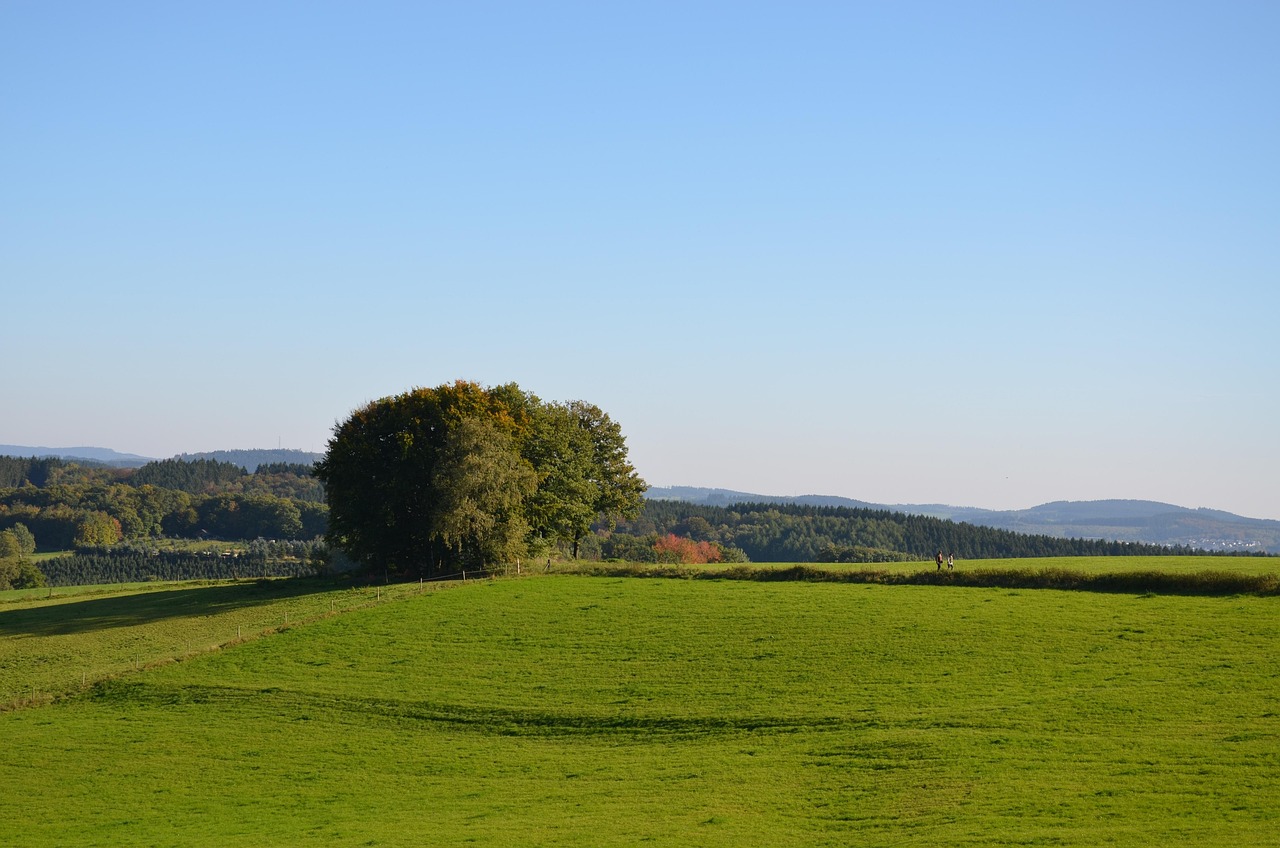 south westphalia, sauerland, dam, sunshine, green, nature