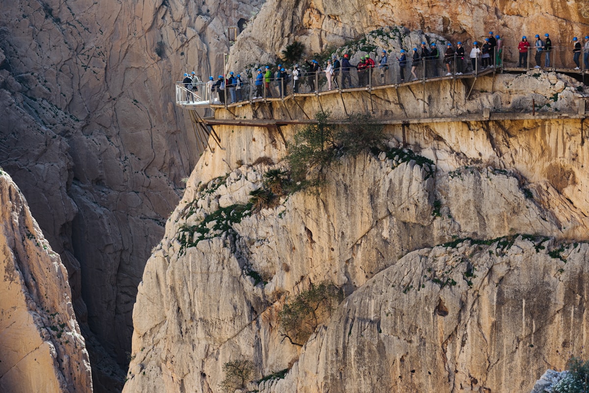 a group of people standing on a bridge over a canyon