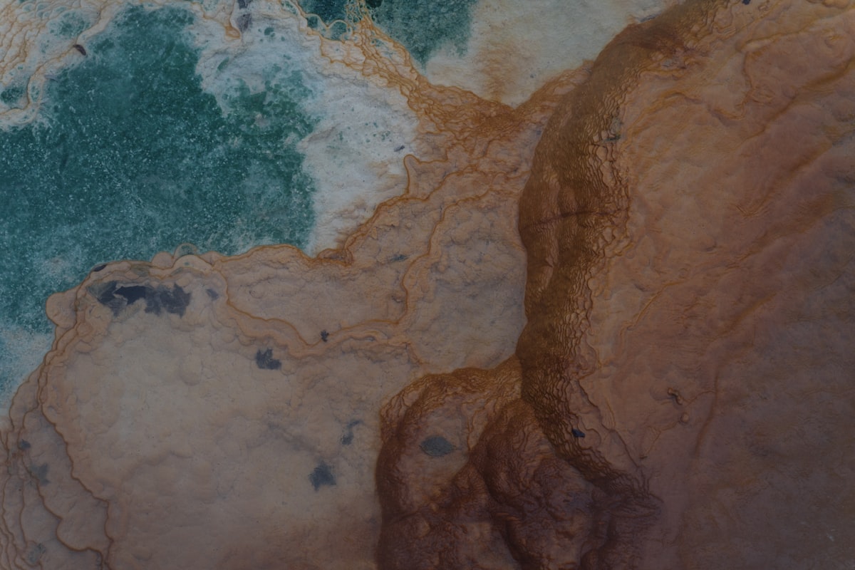 a close up of a rock with a blue ocean in the background