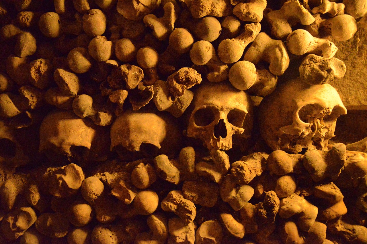 paris, catacombs, skulls, history, tourist destination, halloween, scary, brown skull, catacombs, catacombs, catacombs, catacombs, catacombs