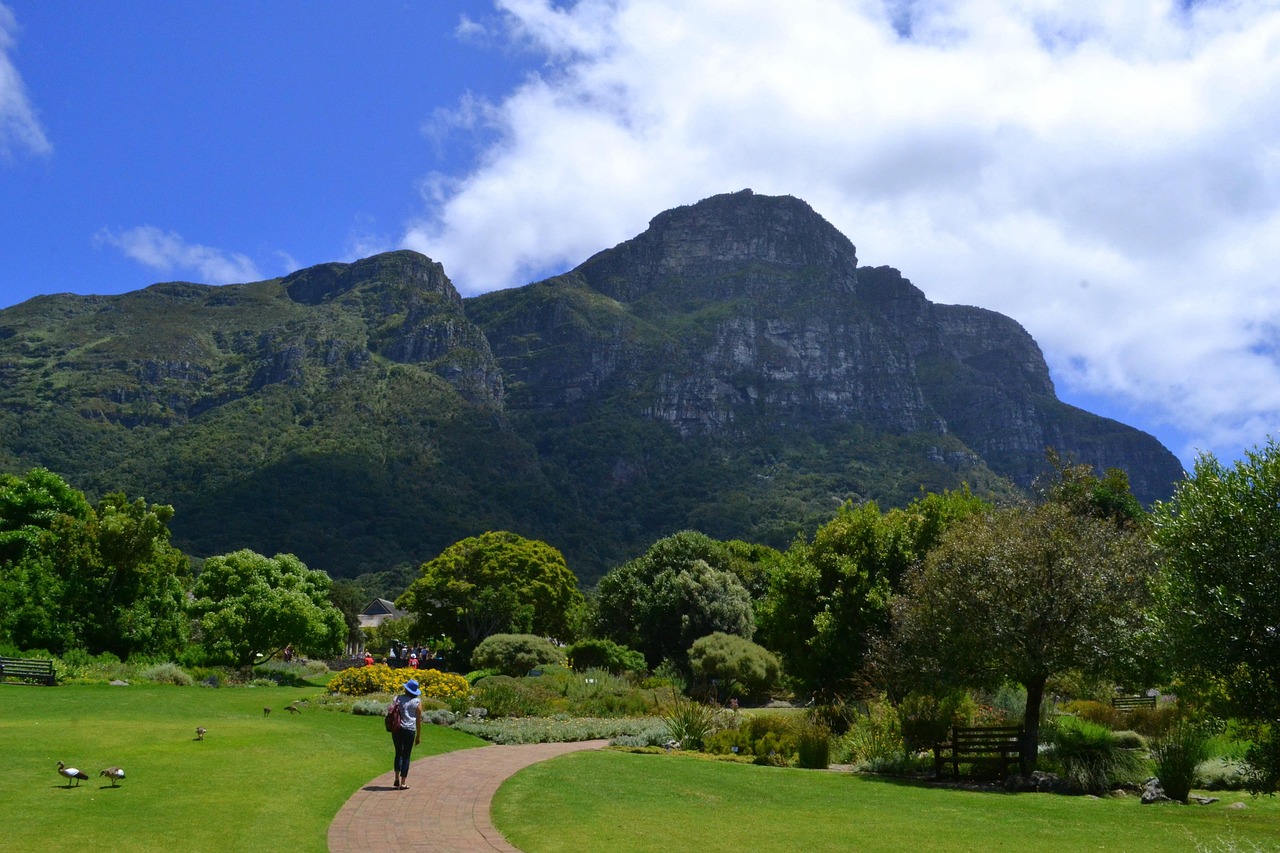 cape town, south africa, botanical, cape town, cape town, cape town, cape town, cape town, south africa, south africa
