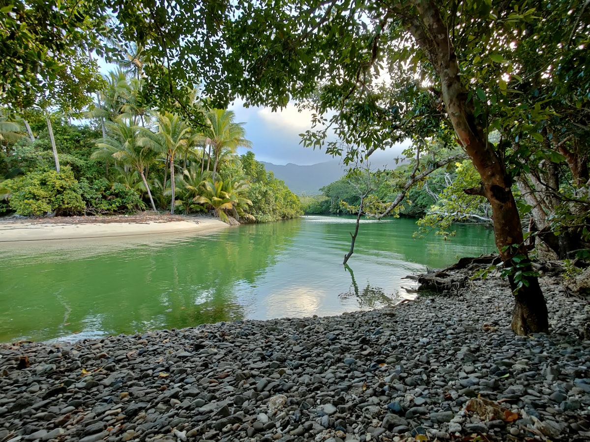 a body of water surrounded by trees and rocks