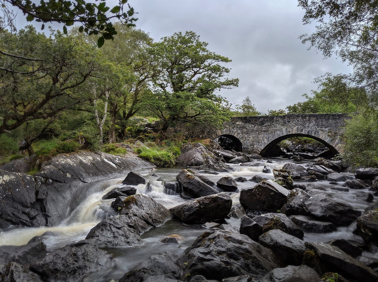 landscape, trees, rustic, green, clouds, ring of kerry, killarney national park, irish, uk, mountains, ireland, mist, lake, lush, wild, coast, iveragh, atlantic way, untouched, southwestern ireland, water, derrycunihy, leprechaun, leprechaun, leprechaun, leprechaun, leprechaun, leprechaun