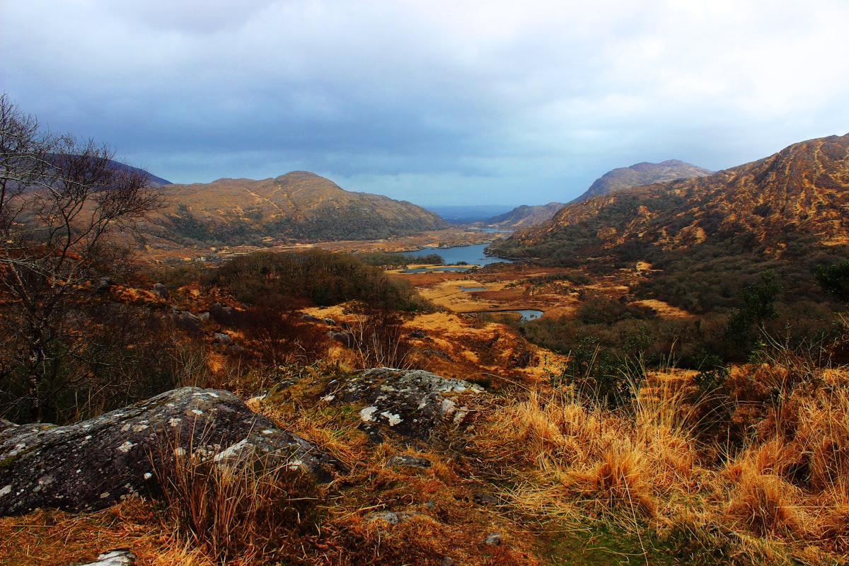 landscape near water