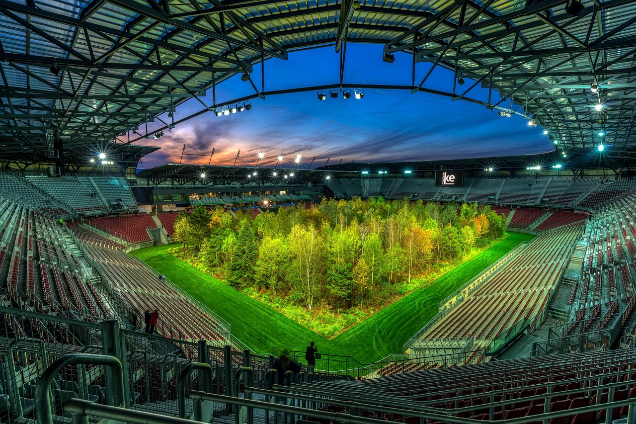 forforest, klagenfurt, austria, mood, art project, art, forest, stadium, nature, project, environment
