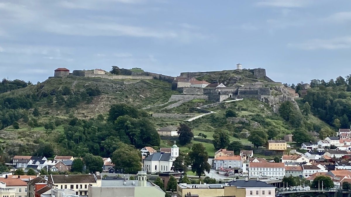 A view of a city with a hill in the background