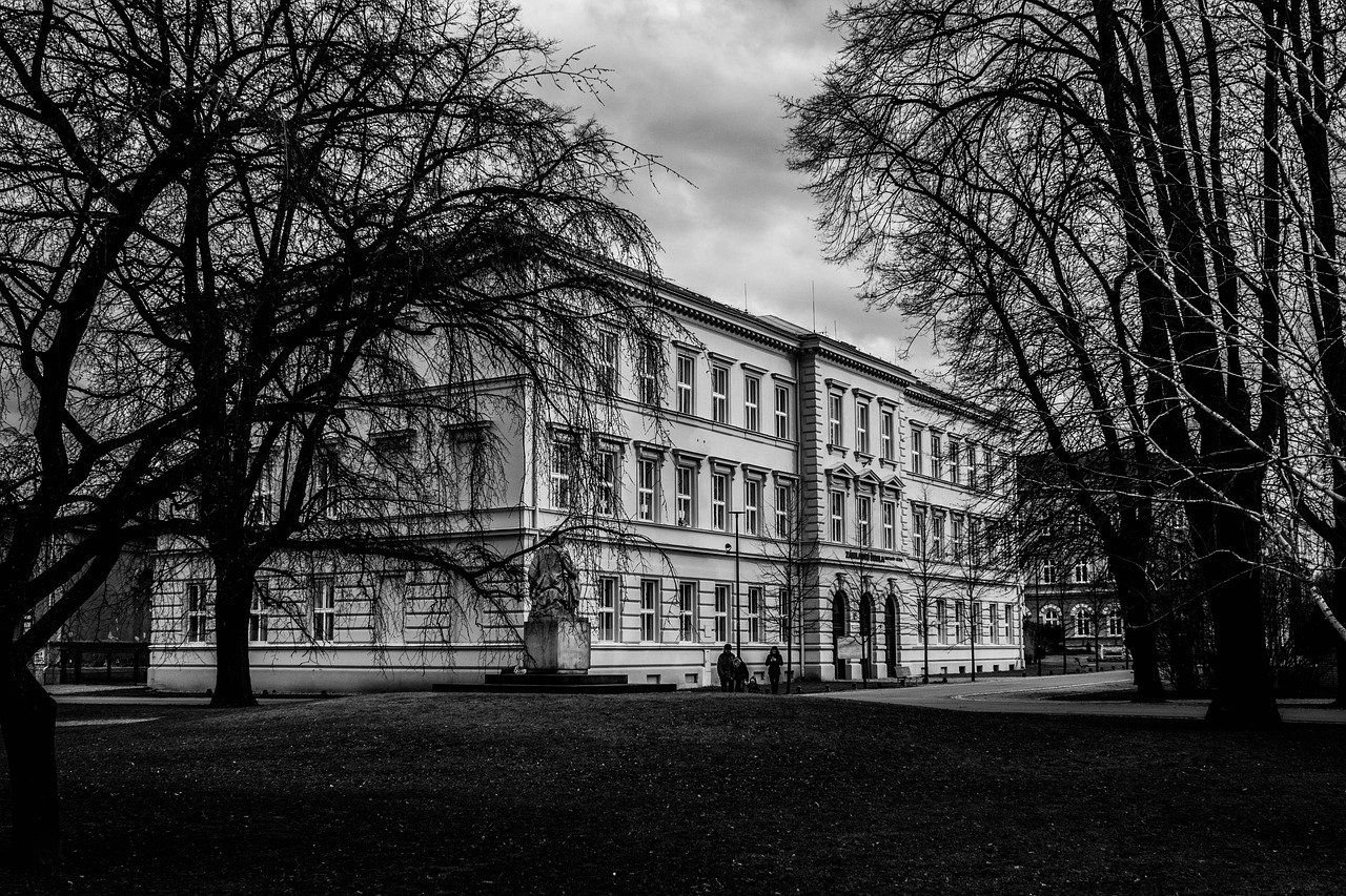 school, krnov, nature, park, b w, trees, buildings