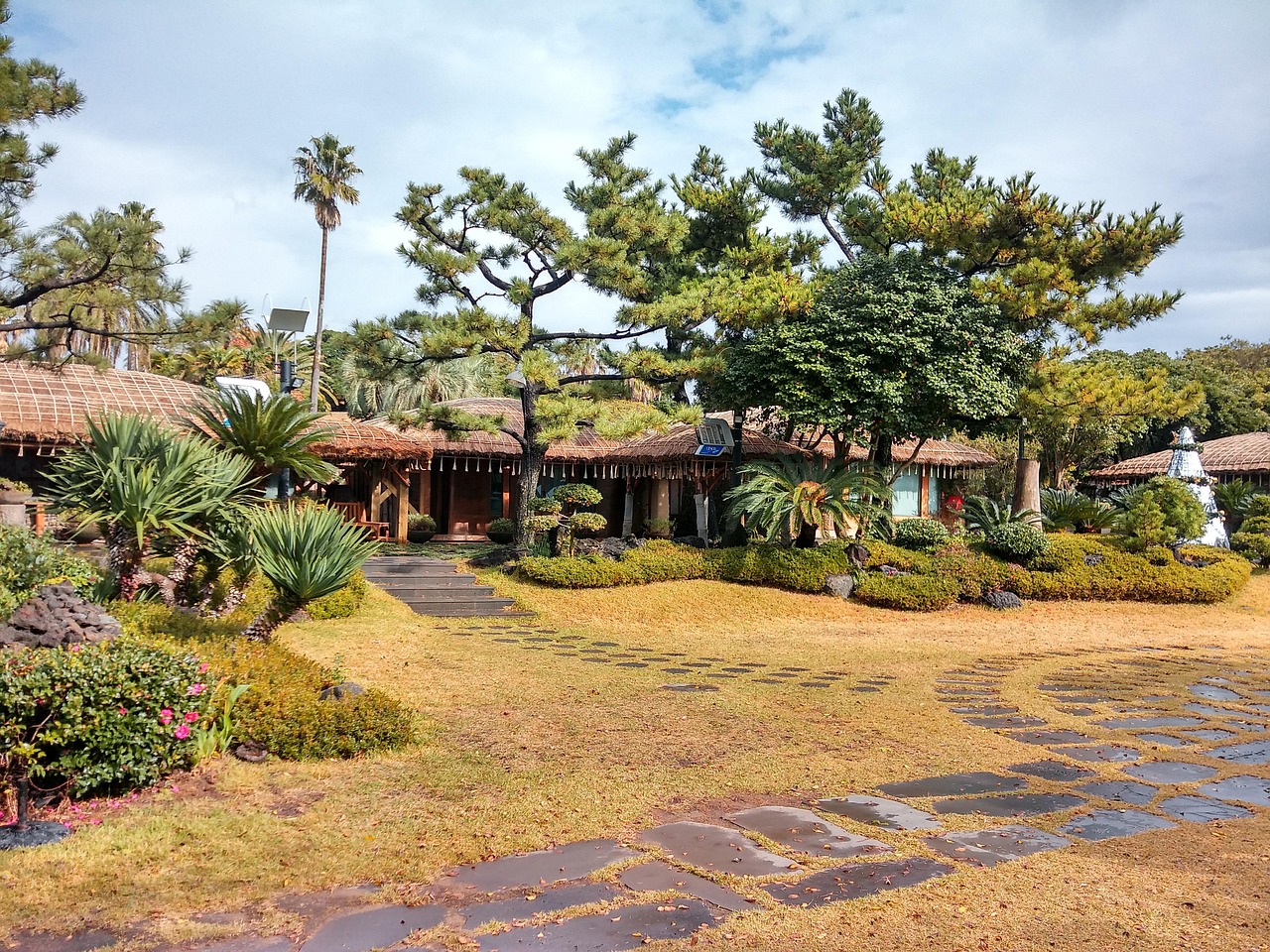 jeju island, haevichi hotel, nature, garden, cafe