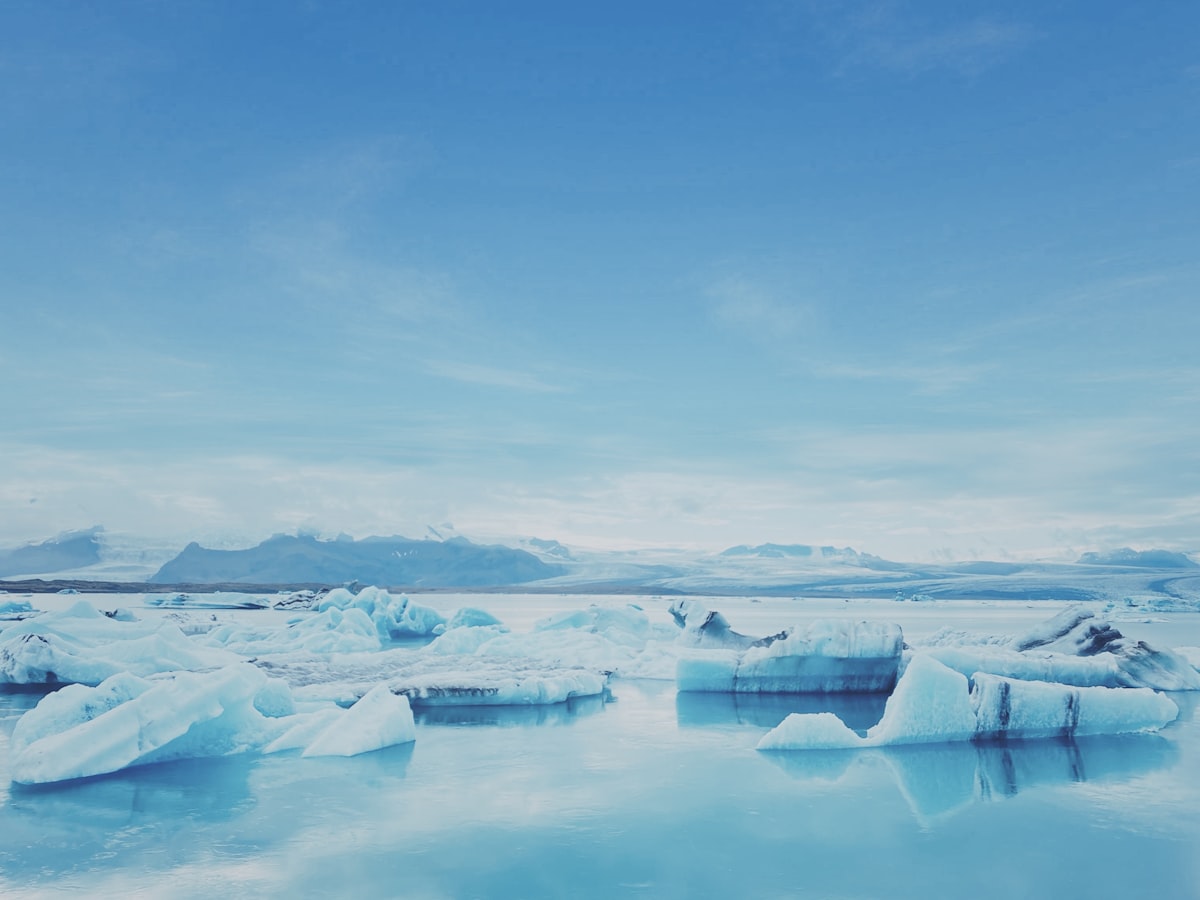 a body of water with icebergs floating in it