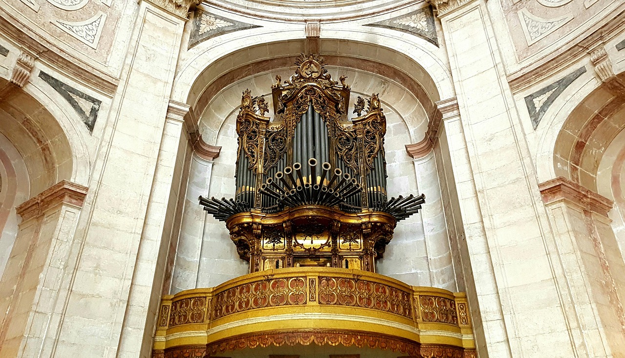 church organ, organ, instrument, music, church, cathedral, architecture, building, pantheon, round arches, gold, sand-lime brick, bricked up, masonry, lisbon, portugal, sightseeing, organ building, pipes, imposing, religion, chapel, church music, church organ, church organ, church organ, church organ, pantheon, pantheon, pantheon, pantheon, pantheon, lisbon, lisbon, lisbon, lisbon, portugal, portugal, portugal, portugal