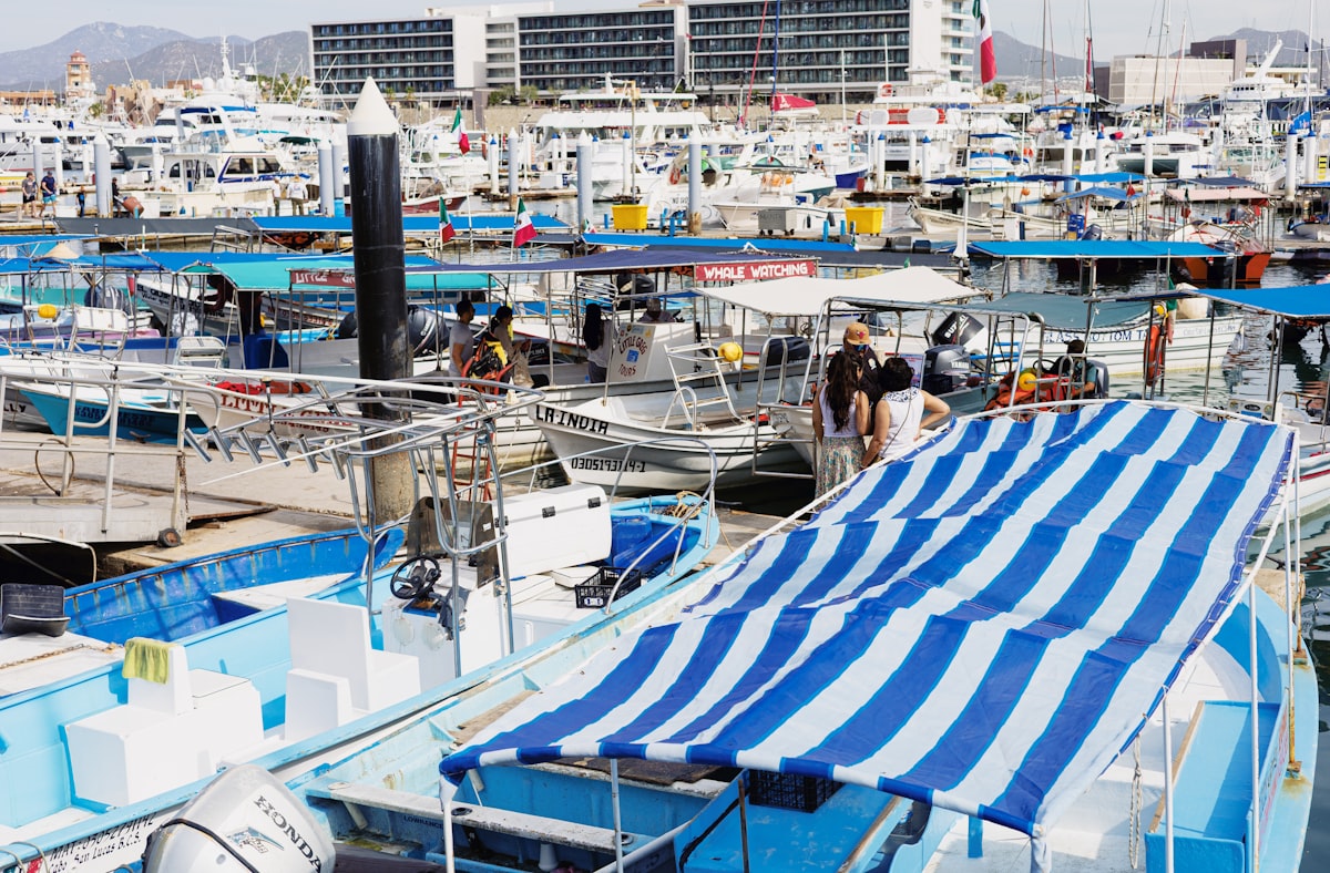 Boats docked in a busy harbor with buildings in background