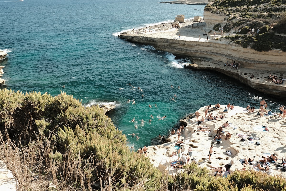a group of people swimming in a body of water