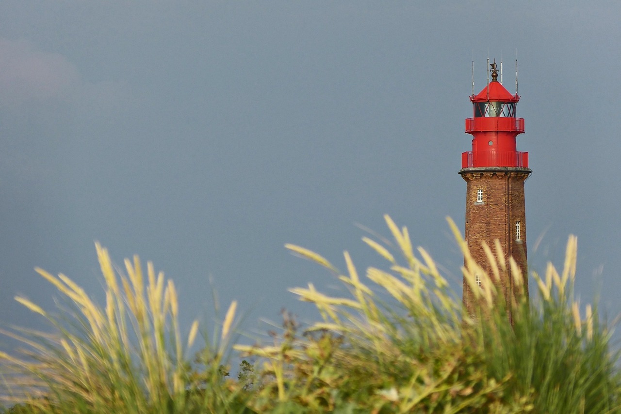 lighthouse, coast, travel, exploration, beacon, sea, grasses, nature, lighthouse, lighthouse, lighthouse, lighthouse, lighthouse